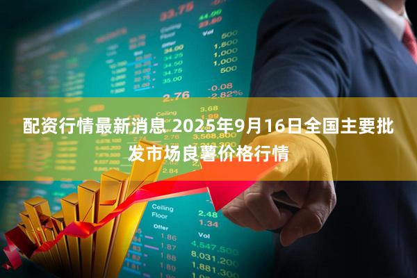 配资行情最新消息 2025年9月16日全国主要批发市场良薯价格行情