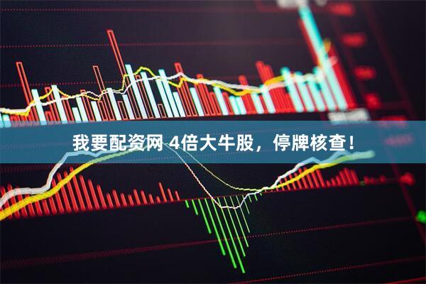 我要配资网 4倍大牛股，停牌核查！