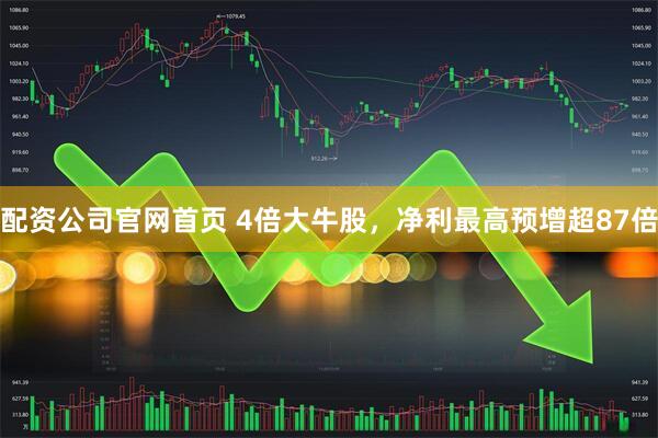 配资公司官网首页 4倍大牛股，净利最高预增超87倍