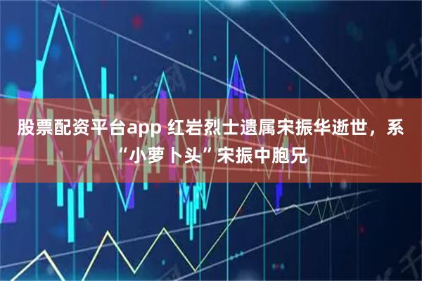 股票配资平台app 红岩烈士遗属宋振华逝世，系“小萝卜头”宋振中胞兄