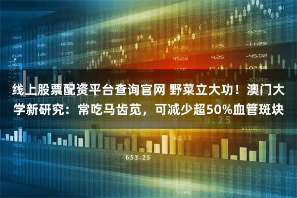 线上股票配资平台查询官网 野菜立大功！澳门大学新研究：常吃马齿苋，可减少超50%血管斑块